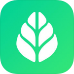 SGreen浏览器破解版 V2.0.1