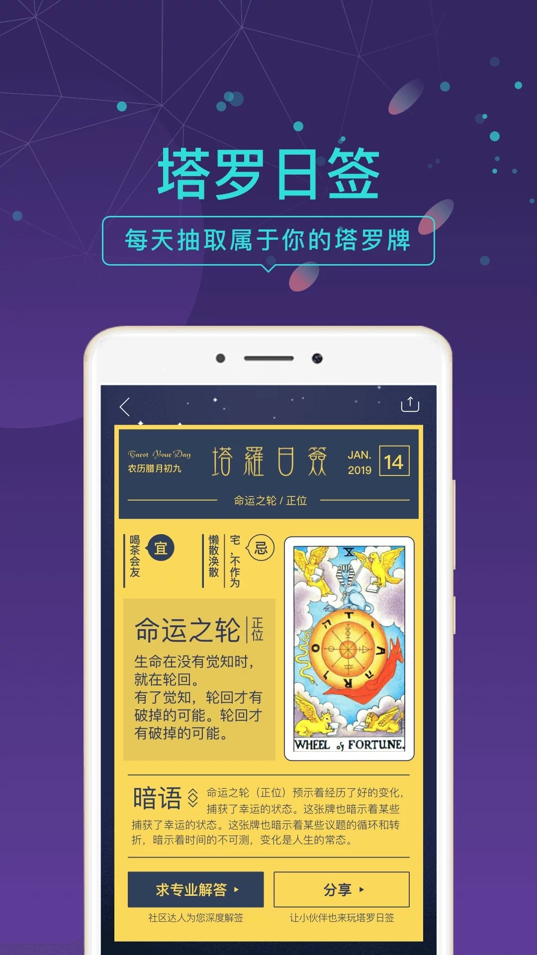 问问塔罗 V1.3.0截图1