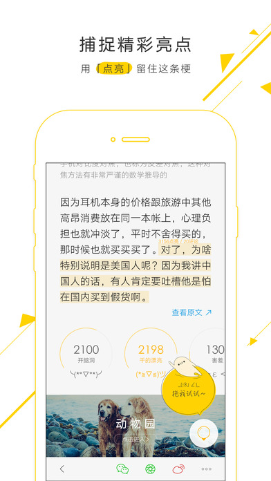 Light V1.0.4截图3