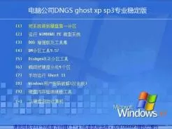 电脑公司DNGS ghost xp sp3专业稳定版V2016.03