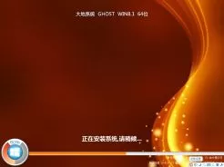 大地ghost win8.1 64位稳定正式版V2017.07