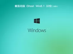 番茄花园ghost win8.1 32位稳定怀旧版v2017.11