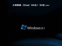 大地系统ghost win8.1 64位专业装机版v2019.04